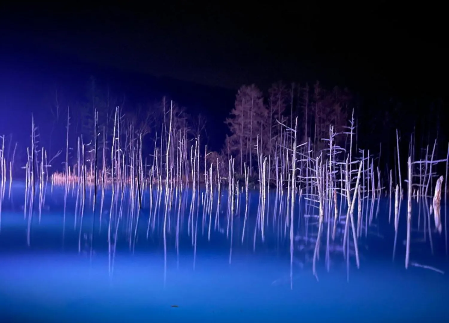 בית כפרי Higashikagura Sound Garden Biei, Forest